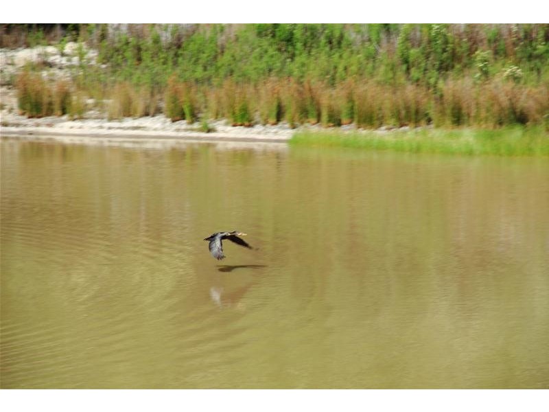 64 Klynes Road, Lymington TAS 7109