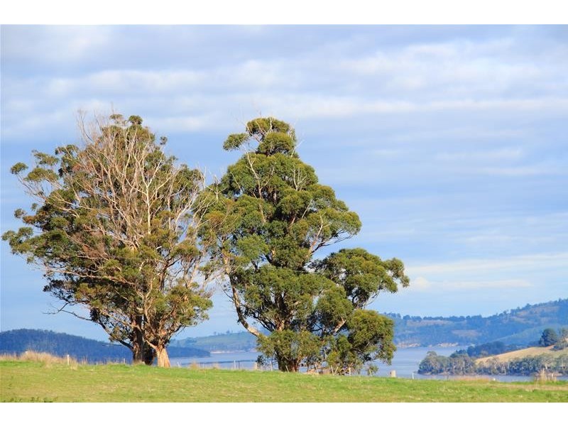 Tobys Hill Road, Cygnet TAS 7112