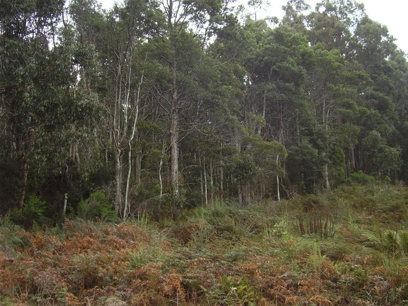 5 44 Lloyds Road, Franklin TAS 7113