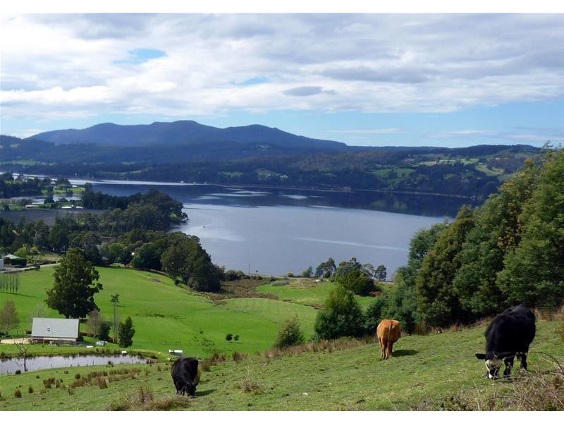37 Crowthers Road, Castle Forbes Bay TAS 7116