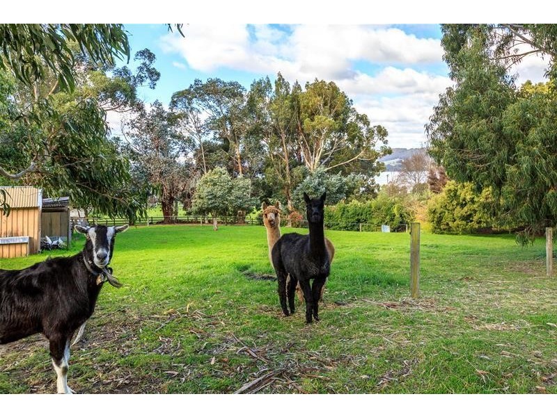 37 Crowthers Road, Castle Forbes Bay TAS 7116