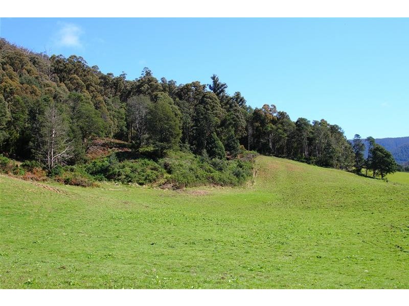 1(ct147069/1) Bakers Creek Road, Lucaston TAS 7109