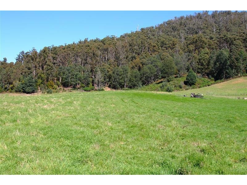 1(ct147069/1) Bakers Creek Road, Lucaston TAS 7109