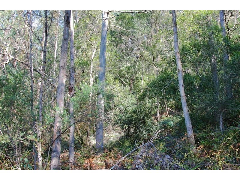 1(ct147069/1) Bakers Creek Road, Lucaston TAS 7109