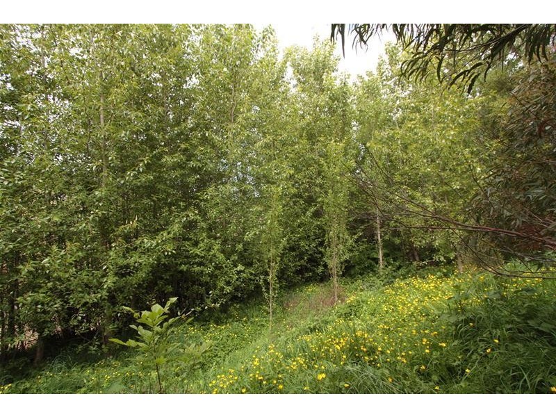 50 Rileys Creek Road, Geeveston TAS 7116