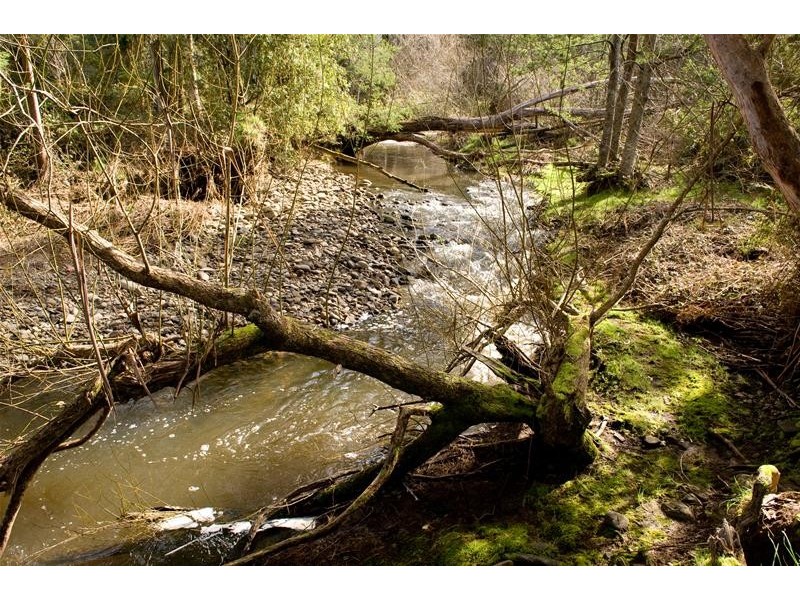 28 Joes Road, Nicholls Rivulet TAS 7112