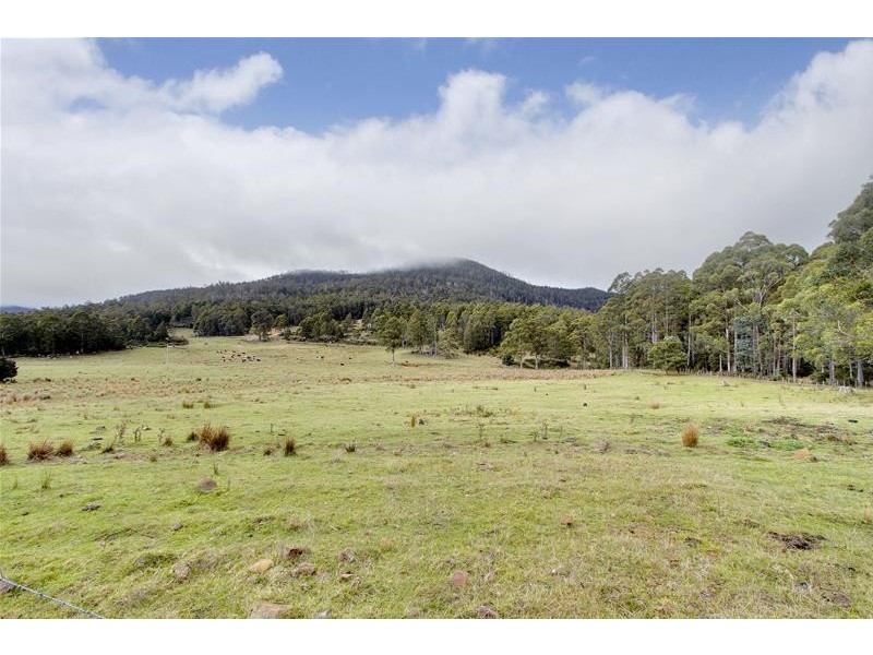 77 Vinces Saddle Road, Sandfly TAS 7150