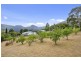 50 Misty Hill Road, Mountain River TAS 7109