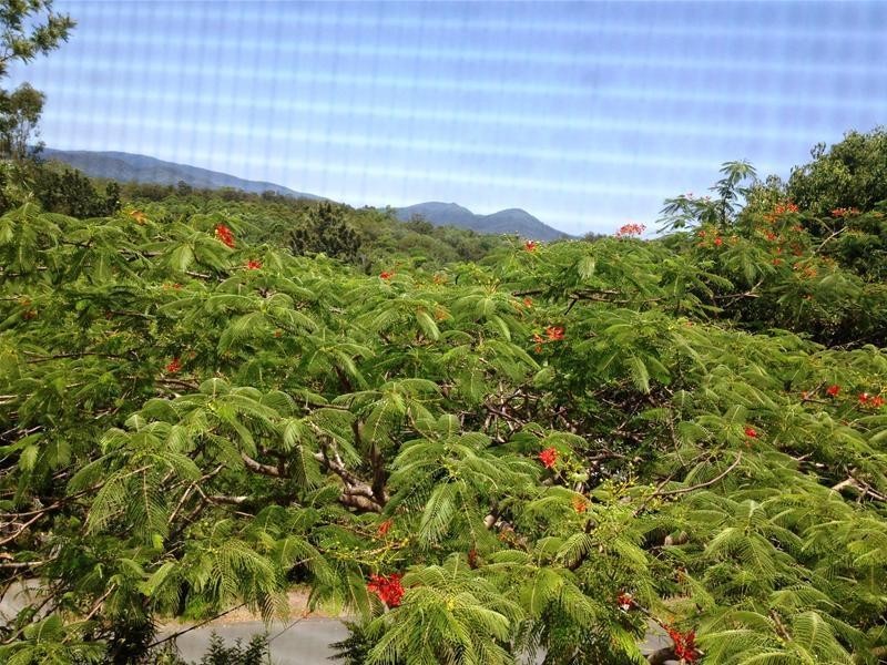 19 Enchelmaier Street, Dayboro QLD 4521