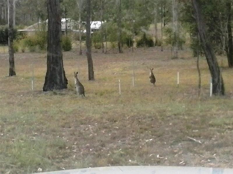 LOT 2 Paperbark  Place, Curra QLD 4570