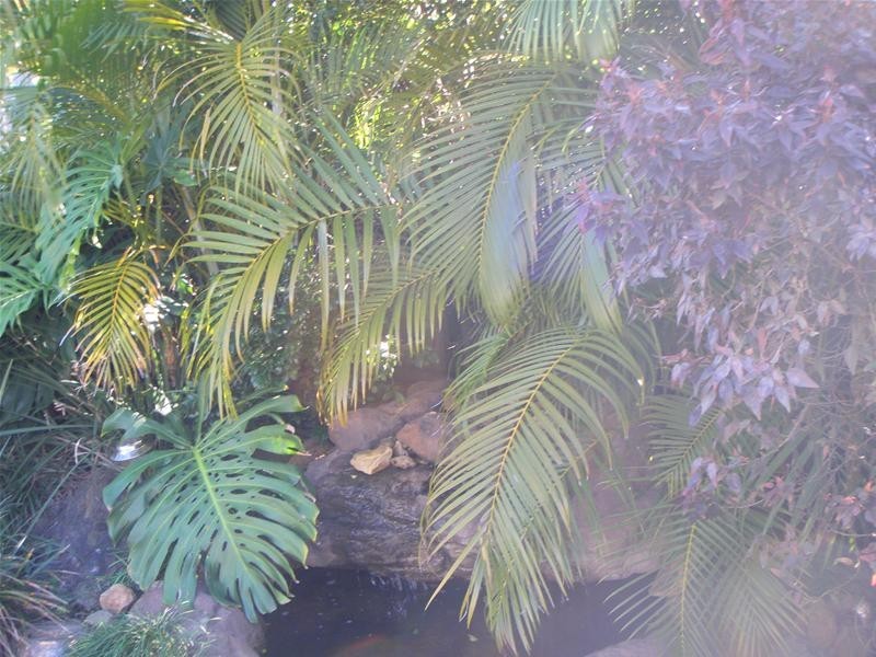 Albany Creek QLD 4035