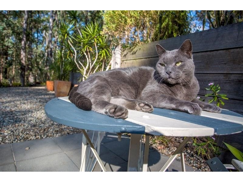 252 Eatons Crossing Road, Warner QLD 4500