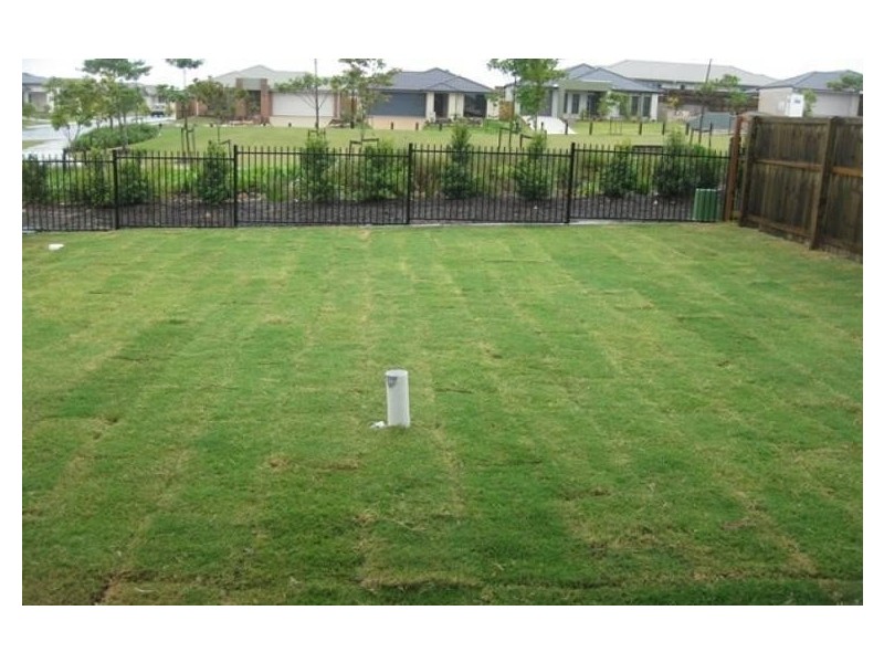 10 Petronas Street, North Lakes QLD 4509