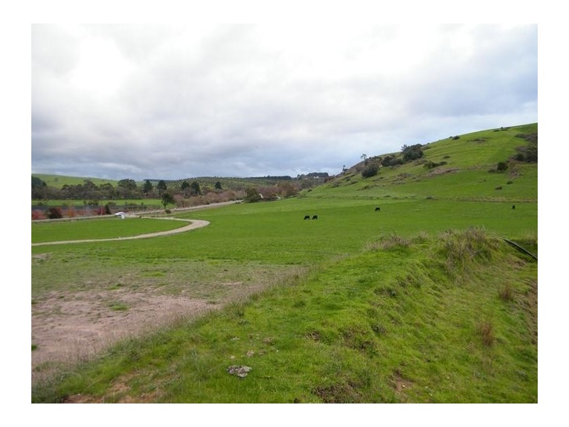 Lot 8 Nangkita Road, Nangkita SA 5210