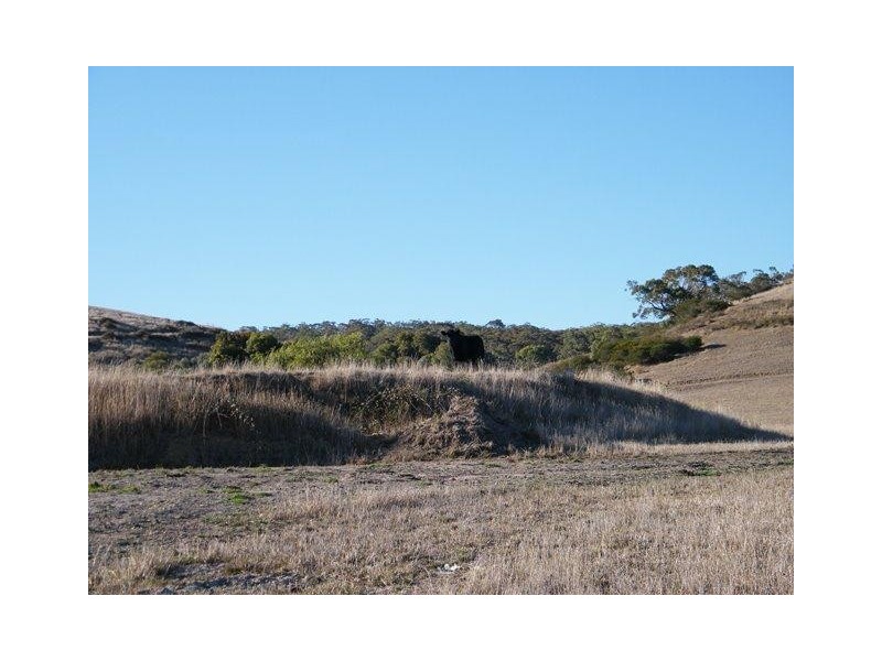 Lot 8 Nangkita Road, Nangkita SA 5210