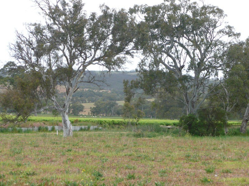 The  Vines  Estate, Myponga SA 5202