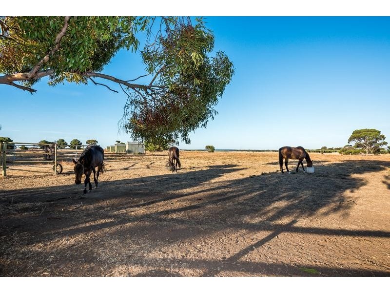 61 Iverene Road, Aldinga SA 5173
