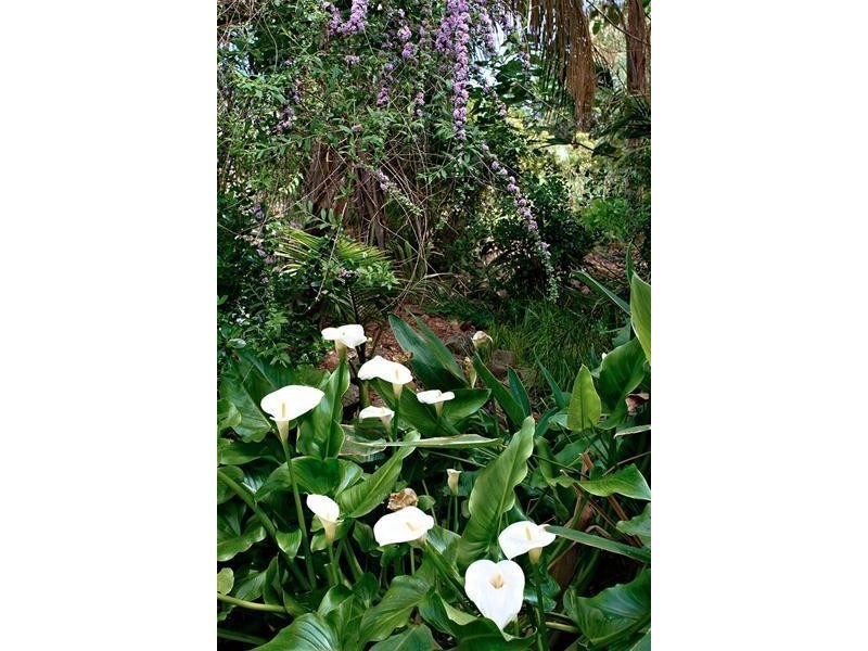 100 Main Road, Mclaren Vale SA 5171