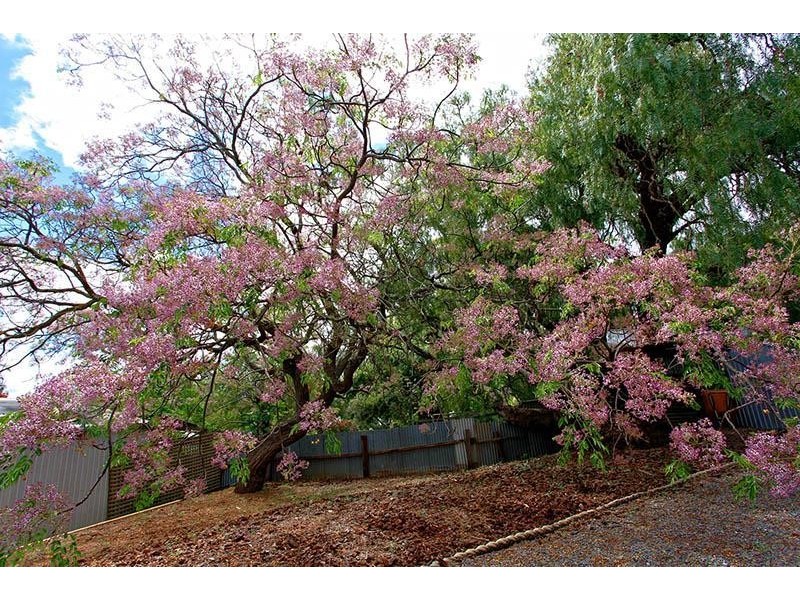 100 Main Road, Mclaren Vale SA 5171