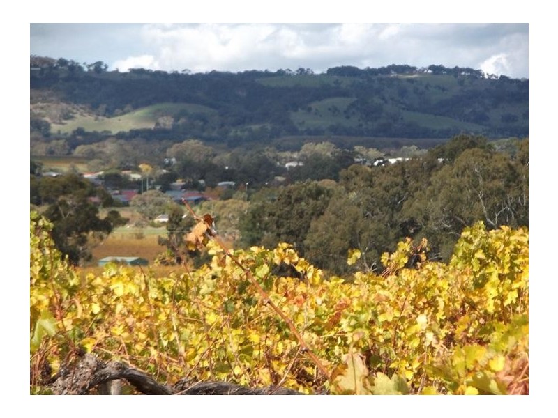 51 Whitings Road, Mclaren Flat SA 5171