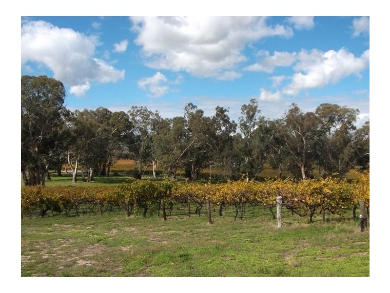 51 Whitings Road, Mclaren Flat SA 5171