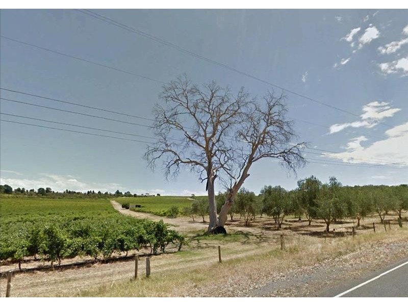 51 Whitings Road, Mclaren Flat SA 5171