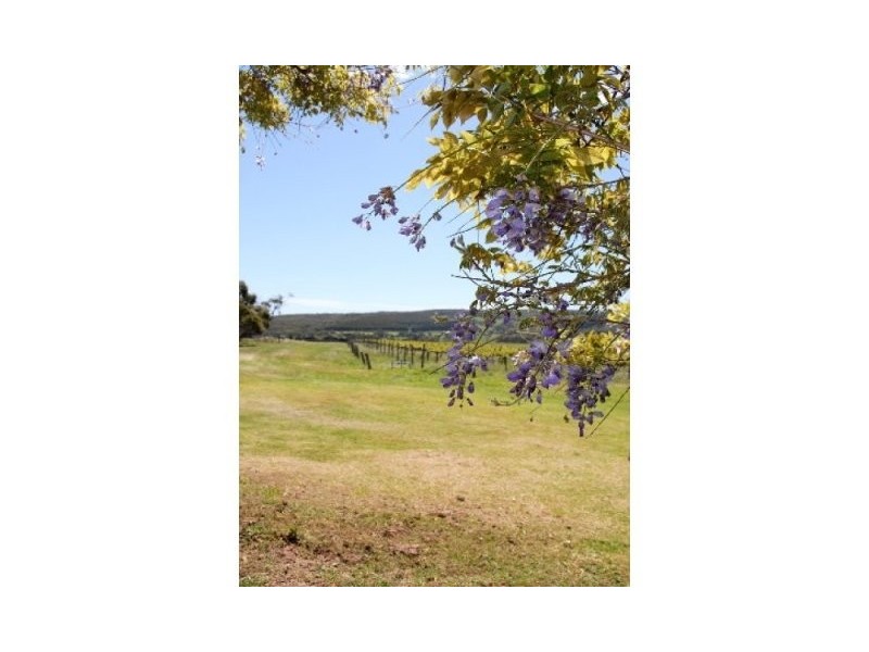 Lot 156 Billings Road, Pages Flat SA 5172