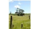 Lot 156 Billings Road, Pages Flat SA 5172