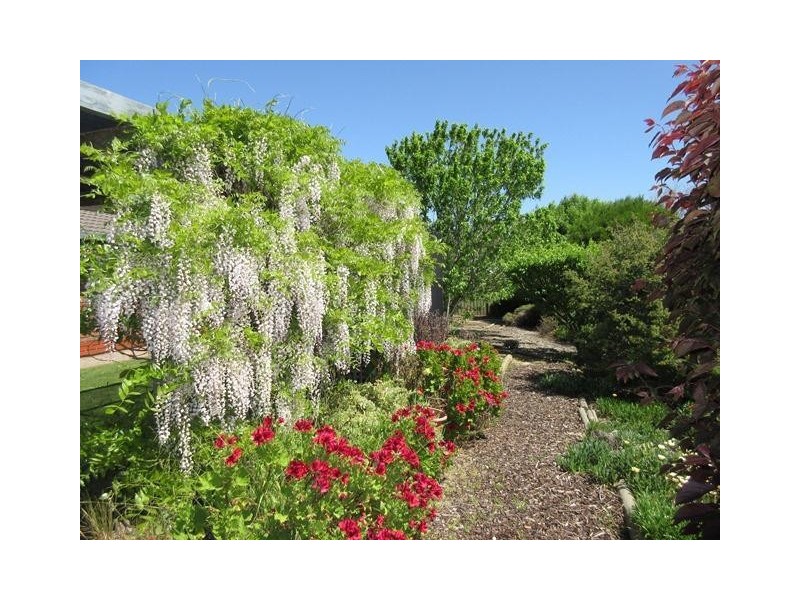 8 Herbert Allan Way, Willunga SA 5172