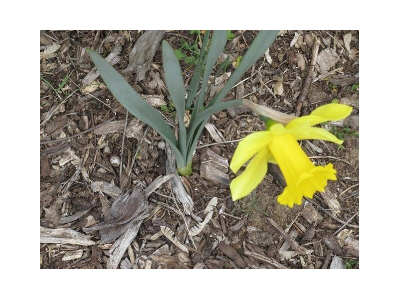 8 Herbert Allan Way, Willunga SA 5172