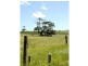 Lot 156 Billings Road, Pages Flat SA 5172