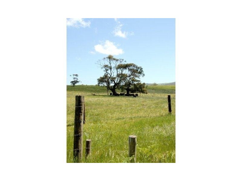 Lot 156 Billings Road, Pages Flat SA 5172