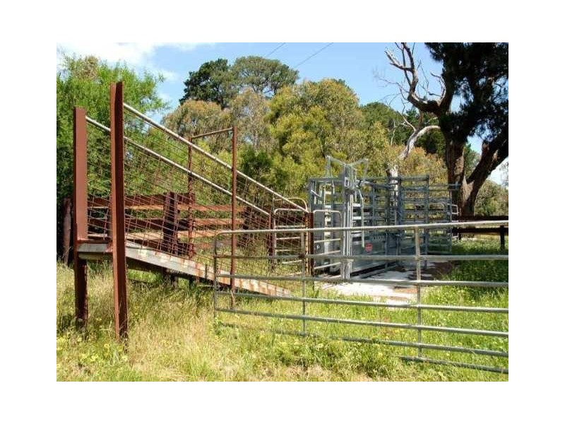 Lot 156 Billings Road, Pages Flat SA 5172