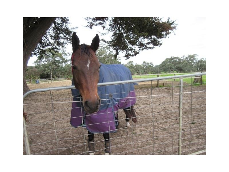 20 Button Lane, Myponga SA 5202