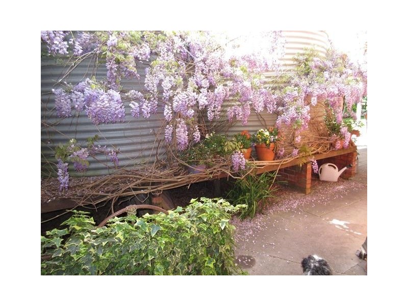 20 Button Lane, Myponga SA 5202