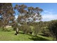 38 Stock Road, Lower Inman Valley SA 5211