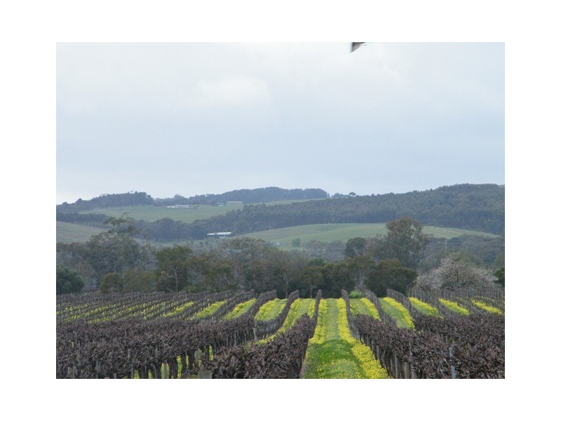 186 Main Road, Willunga SA 5172