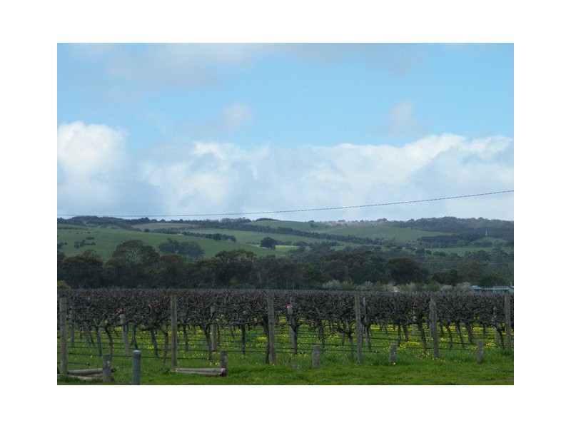 186 Main Road, Willunga SA 5172