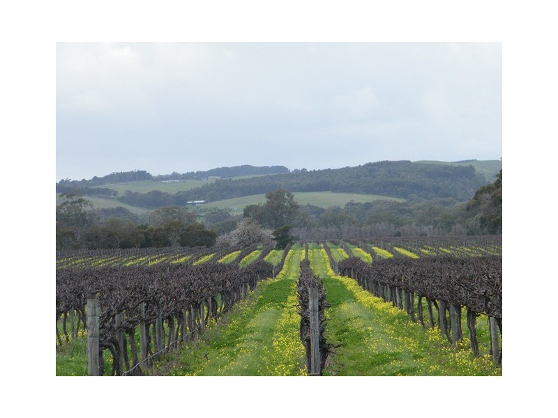 186 Main Road, Willunga SA 5172