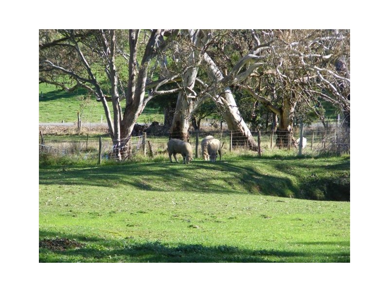 123 Buchanan Road, Hope Forest SA 5172