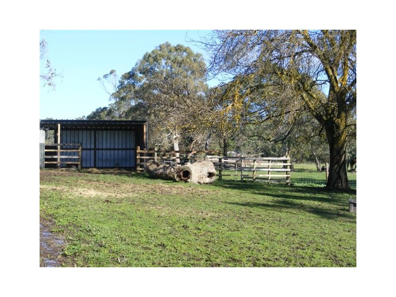 123 Buchanan Road, Hope Forest SA 5172