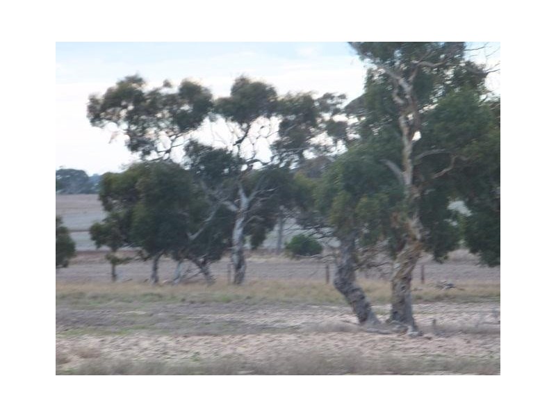 1111 Dry Plains Road, Finniss SA 5255