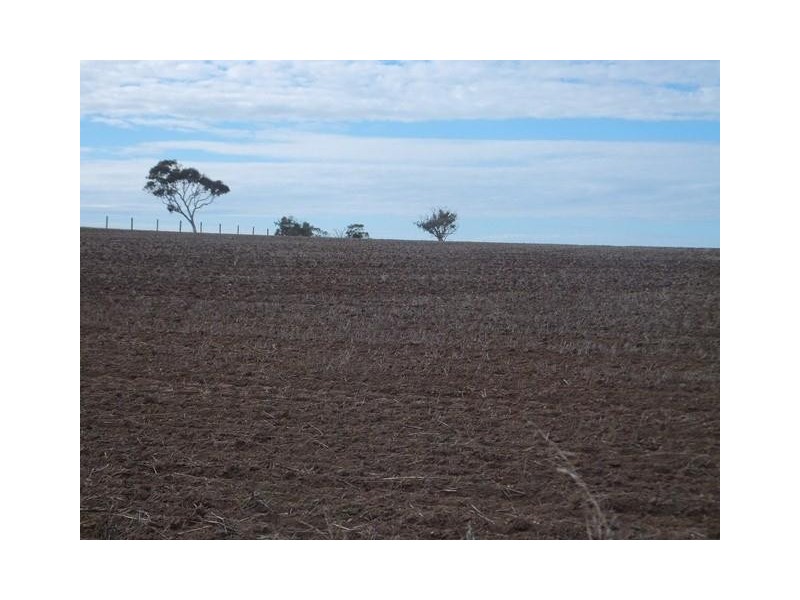 1111 Dry Plains Road, Finniss SA 5255