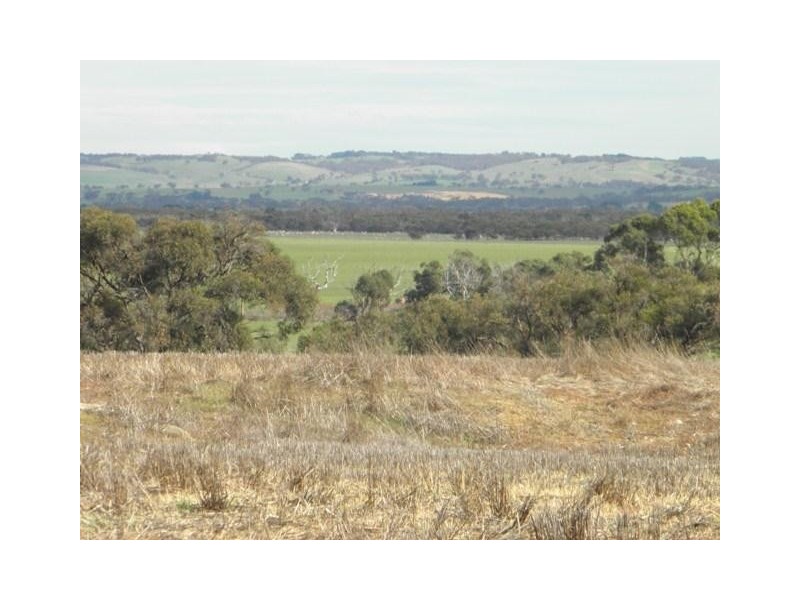 1111 Dry Plains Road, Finniss SA 5255