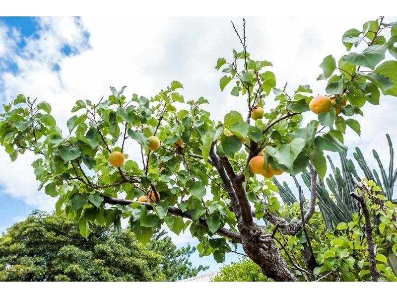 56 Second Avenue, Moana SA 5169