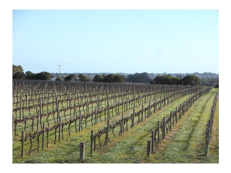 135 Oakley Road, Mclaren Vale SA 5171