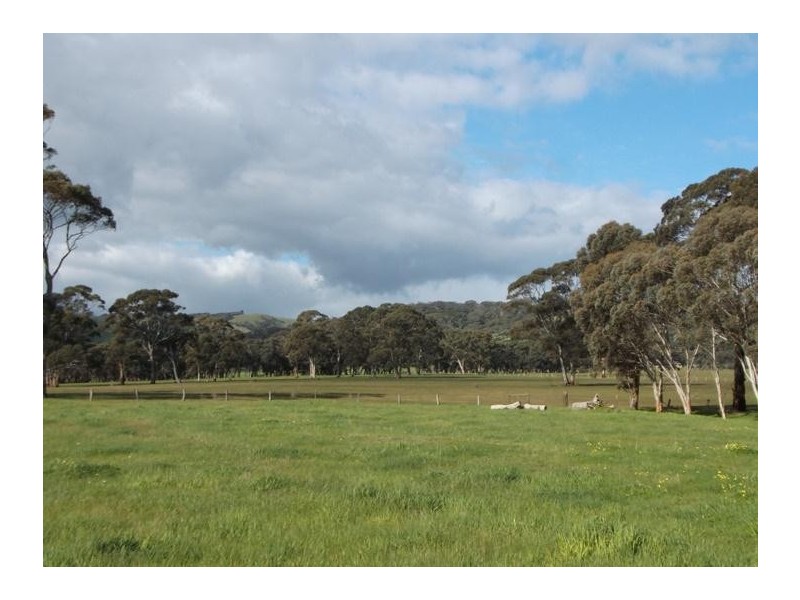 135 Oakley Road, Mclaren Vale SA 5171