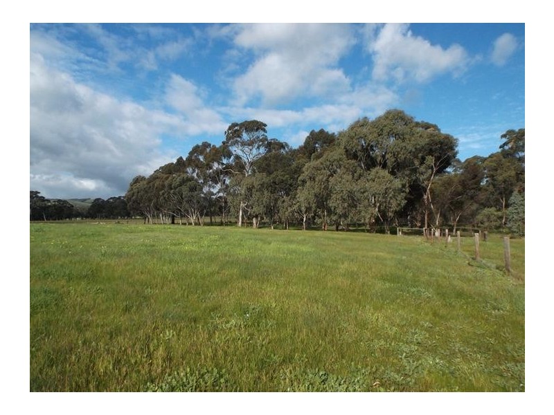 135 Oakley Road, Mclaren Vale SA 5171