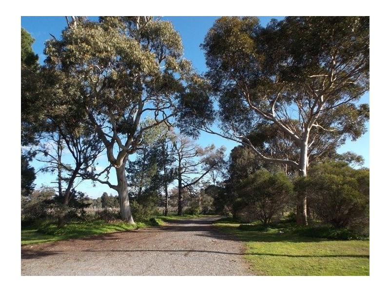 135 Oakley Road, Mclaren Vale SA 5171