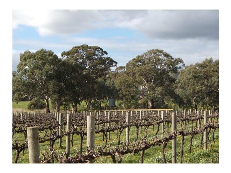 135 Oakley Road, Mclaren Vale SA 5171